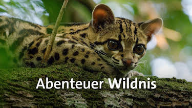 10:50: Abenteuer Wildnis | BR Fernsehen | 3/30 2026