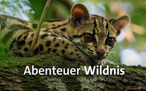 Abenteuer Wildnis (2/2)