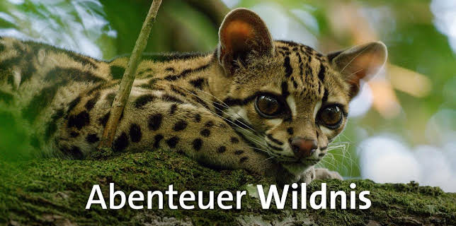 Abenteuer Wildnis