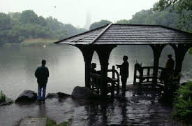 Homicide: Central Park Slaying