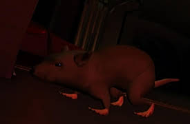 Transformers Beast Wars, Volume 1: The Probe