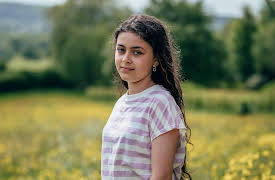 Rain Dogs, Season 1: Didion Hell