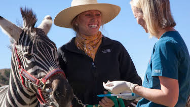 11:15: Dyrlegen i Rocky Mountain (S4 E21) (S4) | Animal Planet | 5/10 2026