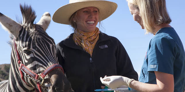 18:00: Dyrlegen i Rocky Mountain (S4 E21) (S4) | Animal Planet | 2/16 2026