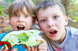 Adventure Agents: Skull Found with Abandoned Treasure