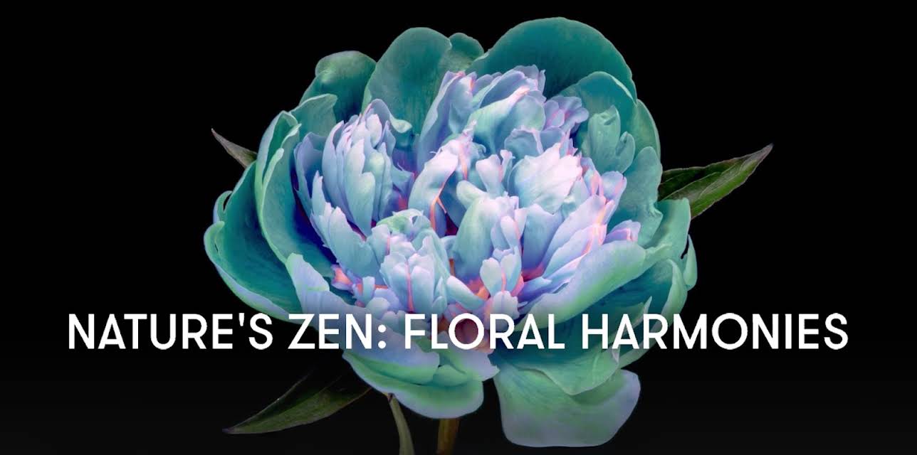 Nature's Zen: Floral Harmonies (2024)