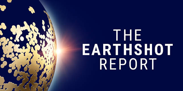 The Earthshot Report (2024)