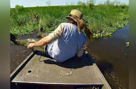 Rat B*stards: Rat vs. Dynamite