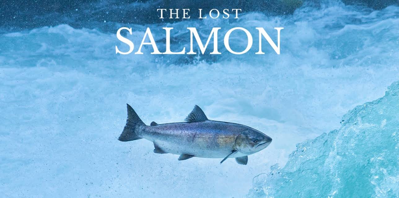 The Lost Salmon (2023)