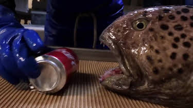 11:25: The Proof is Out There - Auf den Spuren des Unerklärlichen | Kabel Eins Doku | 4/12 2026