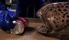 The Proof is Out There - Auf den Spuren des Unerklärlichen