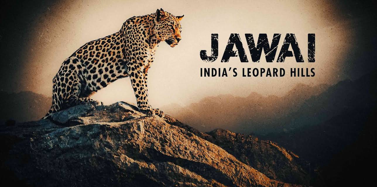 Jawai: India's Leopard Hills