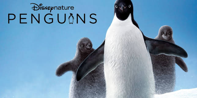 Penguins (2019)