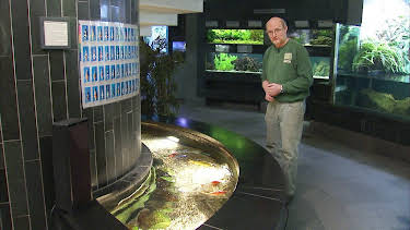 14:25: Elefant, Tiger & Co. | MDR Fernsehen | 4/17 2026