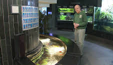 Elefant, Tiger & Co.