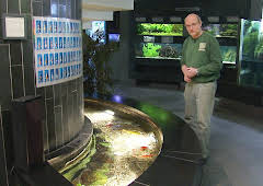 Elefant, Tiger & Co.