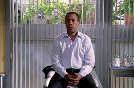 House: 17. Role Model