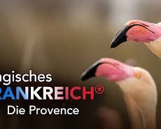 Expeditionen ins Tierreich