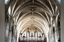 The Cathedral: Vaulting?A Look at Roofs