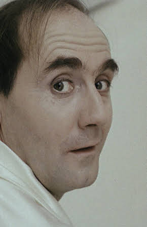 Jan Peszek as 
