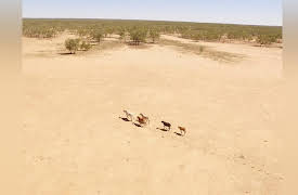 The Outback: Season 1: The Dry Season