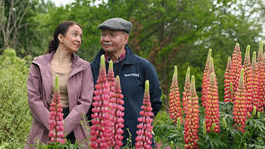 7:30 PM: Beechgrove Garden | BBC Two | 6/12 2026