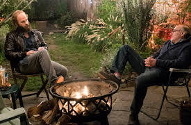 High Maintenance: Tick