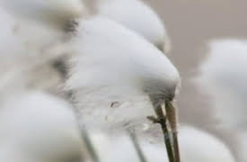 America The Story of Us Season 1: Division