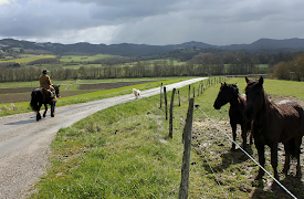 The Pyrenees with Michael Portillo: A Spiritual Quest