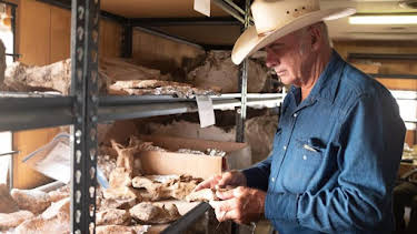 10:00 AM: Dino Hunters (S1) | Discovery Channel | 4/3 2026