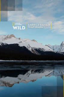 16:05: América salvaje: Bosques | Nat Geo Wild | 8/29 2026
