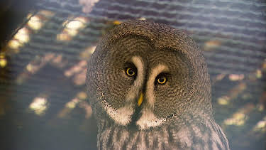 13:25: Elefant, Tiger & Co. (284) | MDR Fernsehen | 3/31 2026