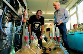 The Science of Wine: Do We Need New Grape Varieties?