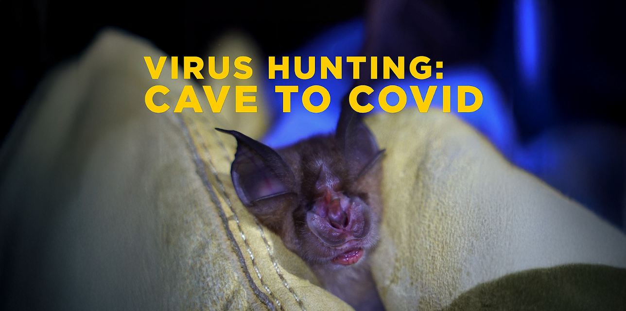 Virus Hunting: Cave to COVID (2020)