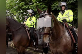 Mounted Branch: Demonstration Duty