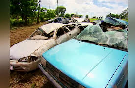 Savage Australia: Flood