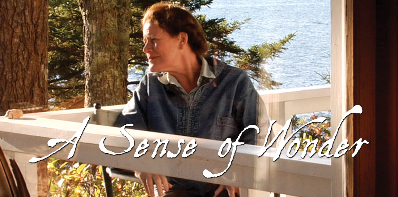 A Sense Of Wonder (2008)