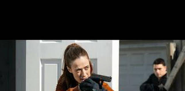 22:00: Chicago P.D. (T13): Ep.11 En camino | Calle 13 | 3/18 2026