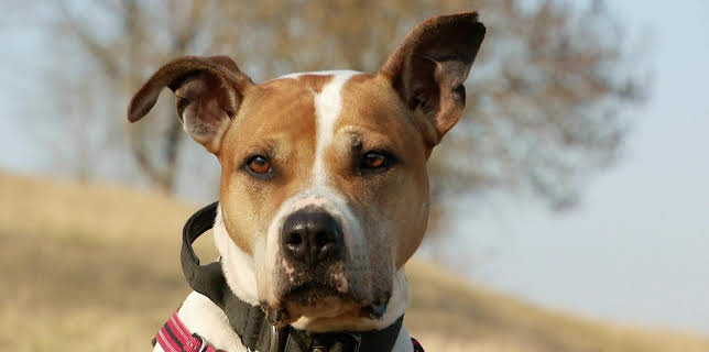 02:35: Tierisch tierisch | MDR Fernsehen | 3/21 2026