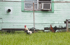 100 Day Dream Home: Home Before Baby