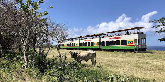 10:20: Eisenbahn-Romantik | SWR Fernsehen BW | 1/30 2026
