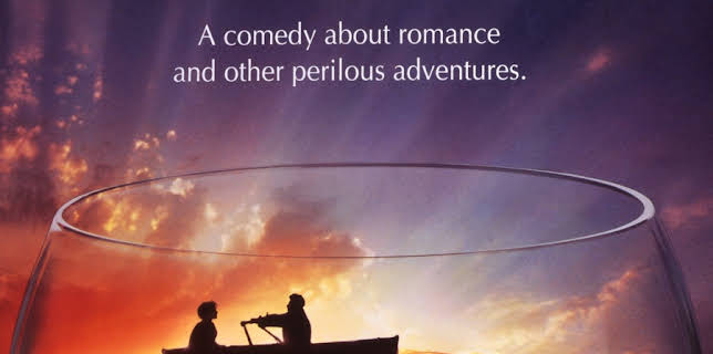 Year of the Comet (1992)