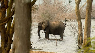 18:35: Tanganjika - Das Meer im Herzen Afrikas | Arte | 4/15 2026