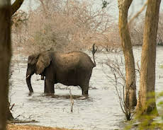 Tanganjika - Das Meer im Herzen Afrikas