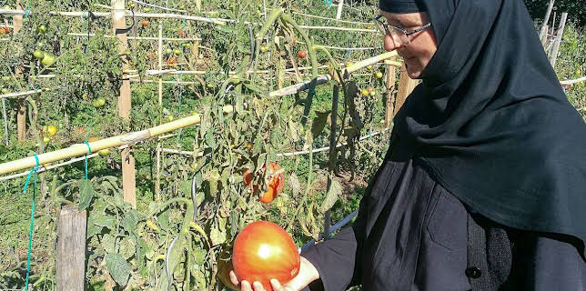 07:15: GEO Reportage | Arte | 3/21 2026