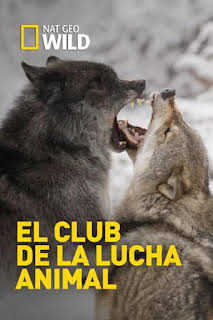 10:45: El club de la lucha animal: Soltar a la bestia | Nat Geo Wild | 1/29 2026