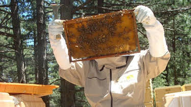 7:00 AM: How Do They Do It? (S11) | Discovery Channel | 8/15 2026