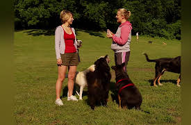 Samantha Brown's Great Weekends: Brooklyn