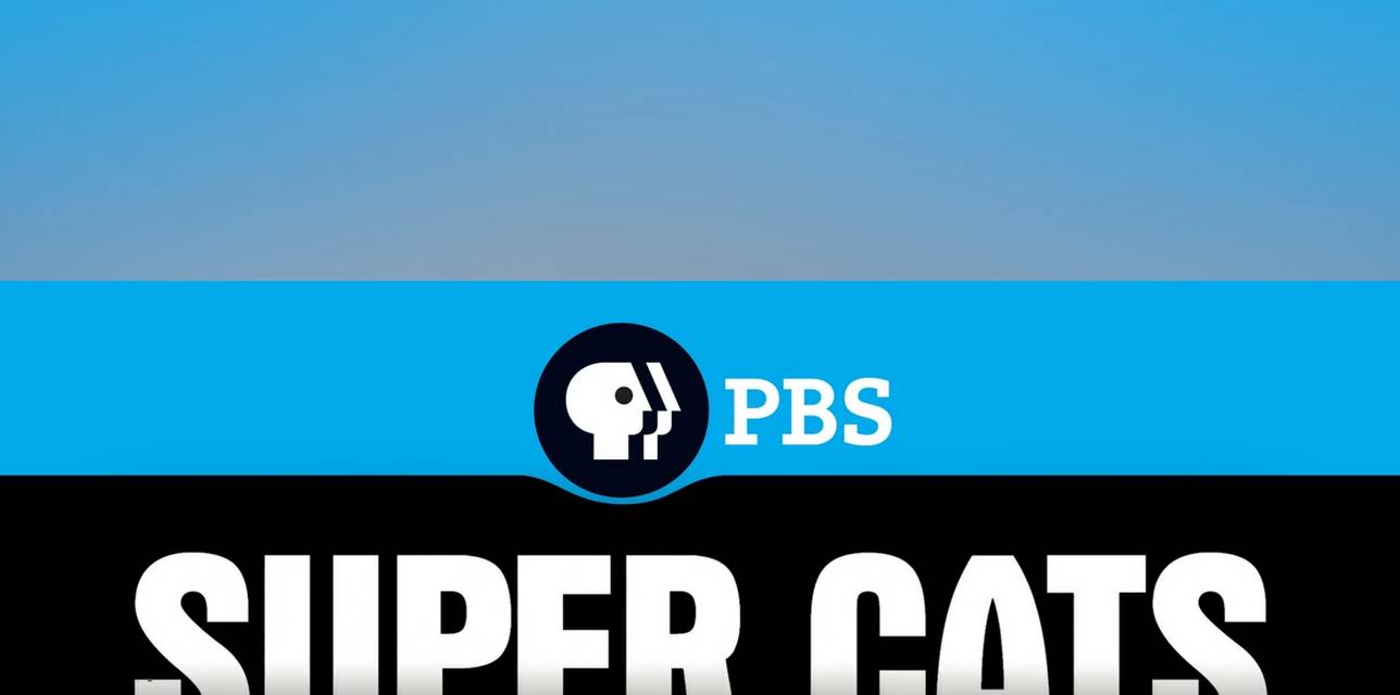 Super Cats