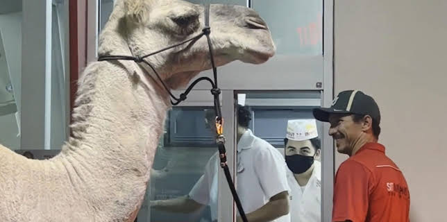 04:55: Alarmstufe L.A.: Die Ersten am Einsatzort | Kabel Eins Doku | 12/3 2025